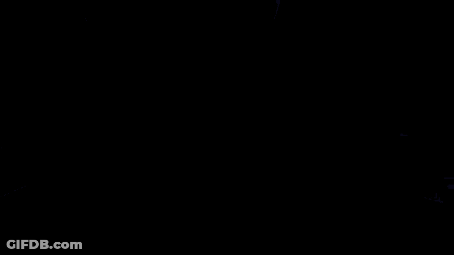 Apple Apple Ipad GIF