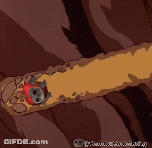 Apple Cat Spinning Deep On The Ground GIF