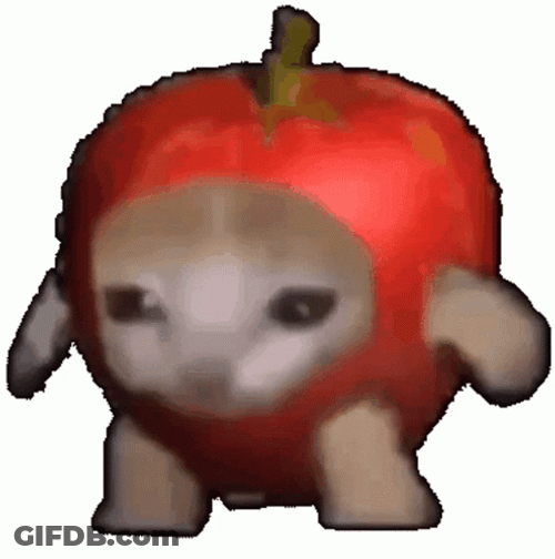 Apple Cat Spinning GIF