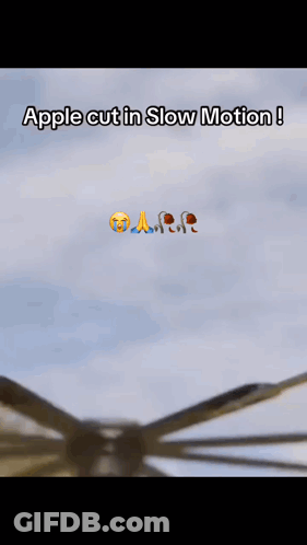 Apple Cut In Slow Motion On Blade GIF