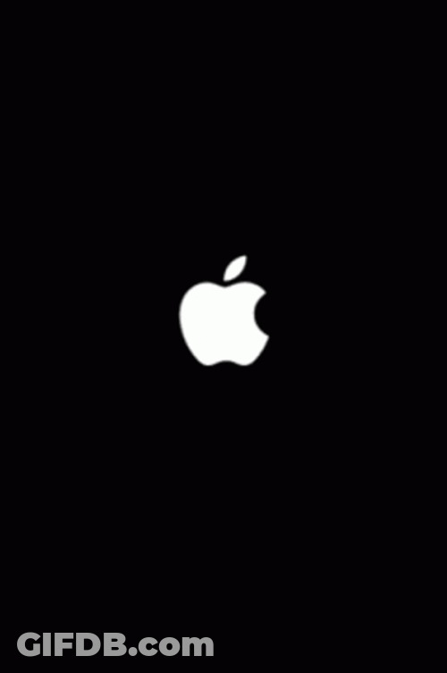 Apple Meta Hacker Screen GIF