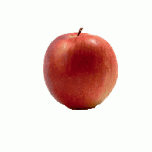 Apple Time Lapse GIF