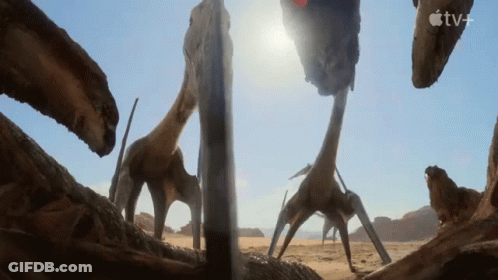 Apple TV+ Ad Group Of Animals In Desert GIF
