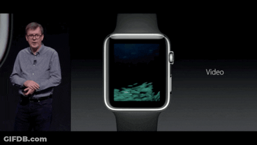 Apple Watch Showing Video Of Fish GIF
