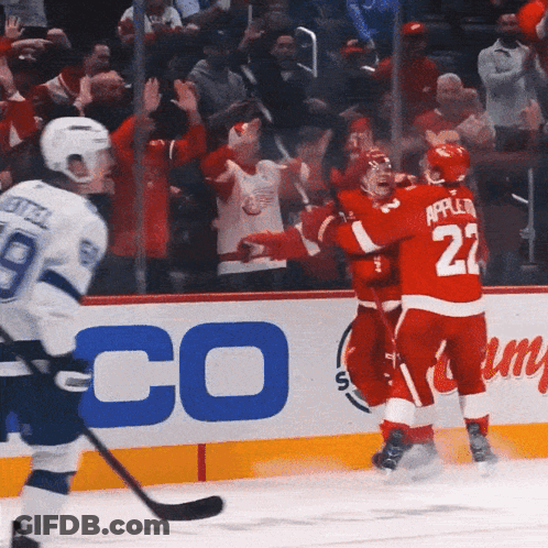 Appleton Hugging Another Hockey Player GIF