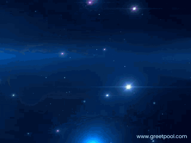 Appreciate Well Done GIF