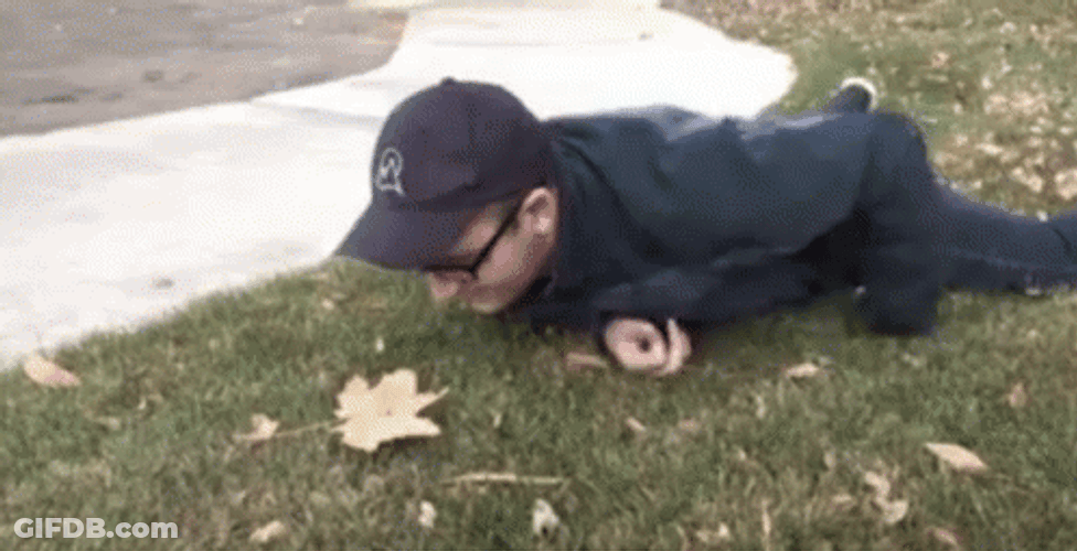 Appreciating Maple Leaf On The Ground GIF