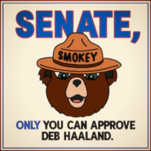 Approve Senate Haaland Bear Cartoon GIF