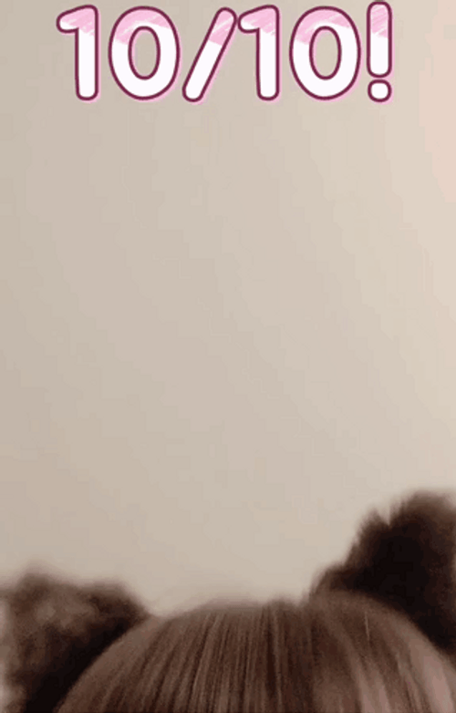 Approved 10 Out Of 10 GIF