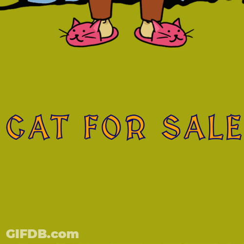April Fools Doge GIF