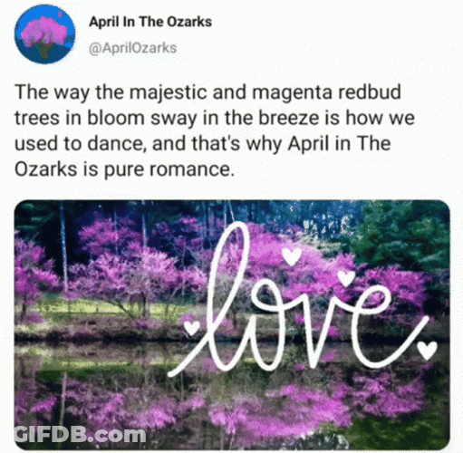 April Fools In The Ozarks GIF