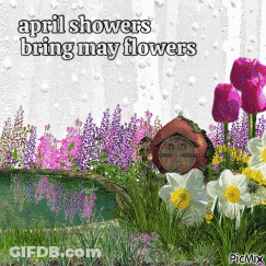April Showers Bring May Flowers GIF