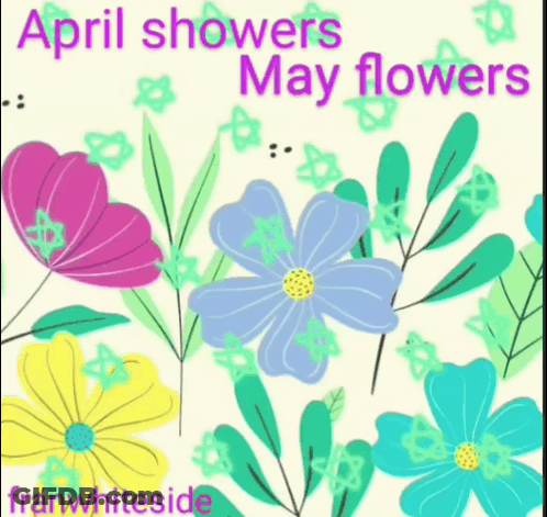 April Showers May Flowers GIF