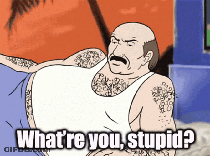 Aqua Teen Hunger Force Stupid GIF