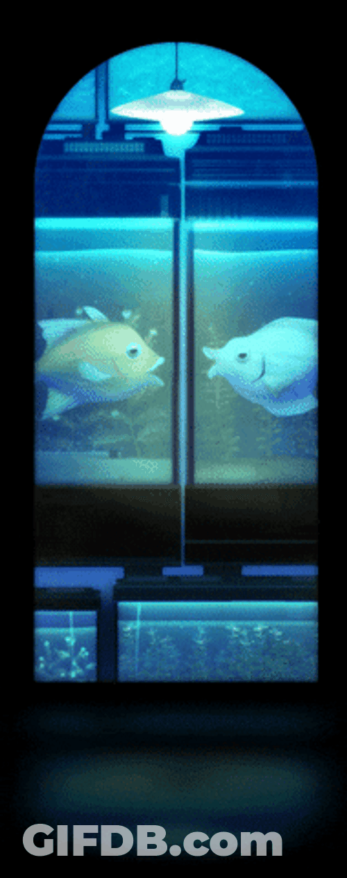 Aquarium Fish Meme GIF