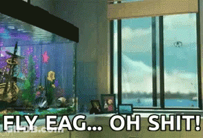 Aquarium Saying Fly Eag Oh Shit GIF