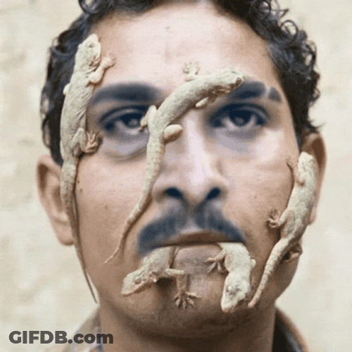 Arab Man Lizards Face App GIF