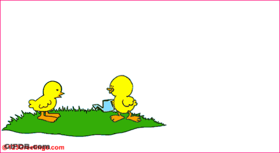 Arbor Da Spanish Water Spot Birds Hospital Flowers GIF