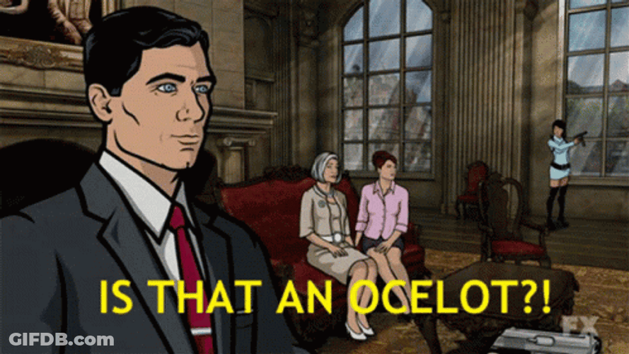 Archer GIF