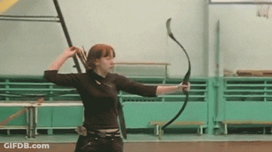 Archery Arrow Target Shooting GIF