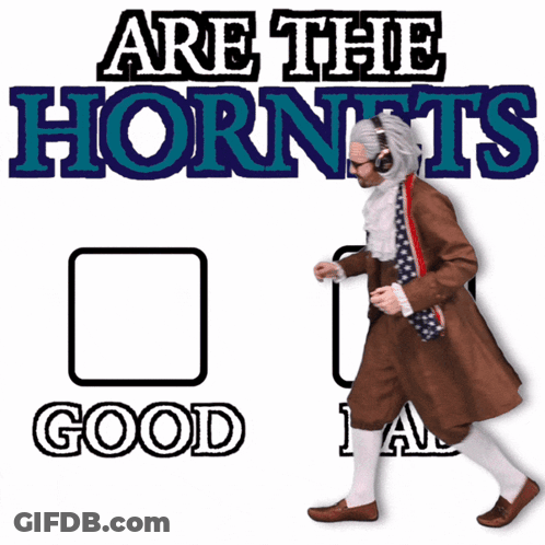 Are The Hornets Go Bad Poster GIF
