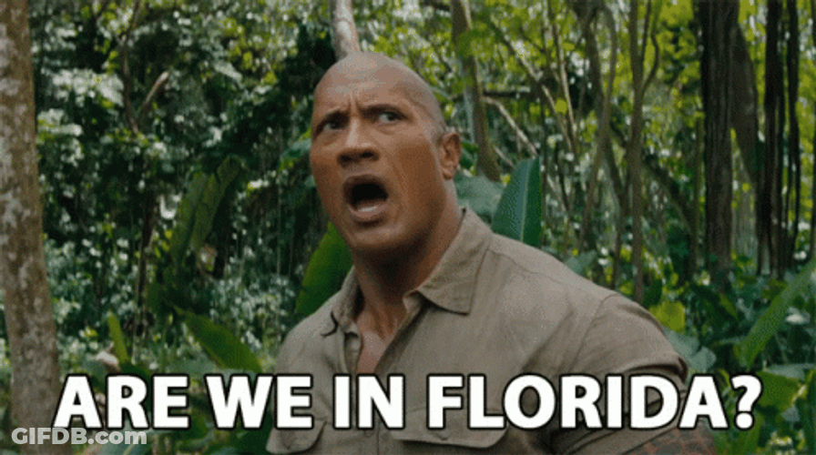 Are We In Florida Jumanji GIF
