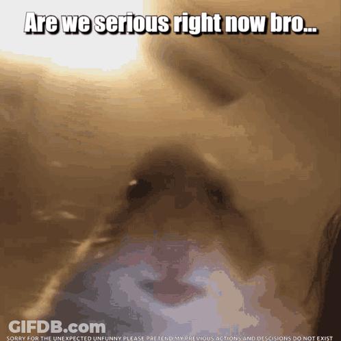 Are We Serious Right Now Bro GIF
