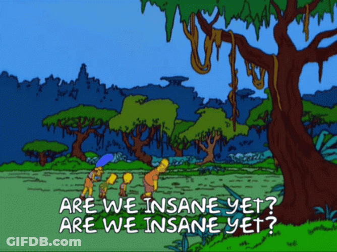 Are We There Yet Or We Insane Yet GIF