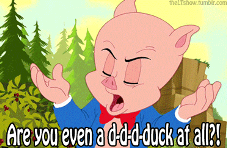 Are You Even Thatll Do Pig GIF