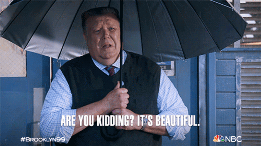 Are You Kidding It's Beautiful GIF