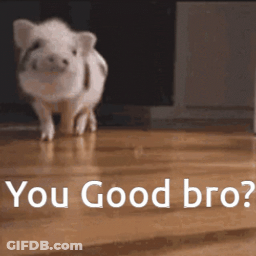 Are You Ok Doing Good GIF
