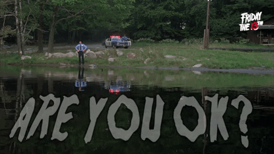 Are You Ok Friday The 13Th Meme GIF