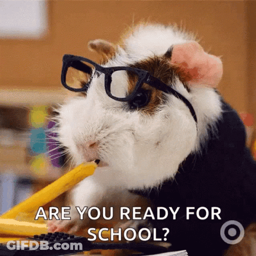 Are You Ready For Back To School GIF