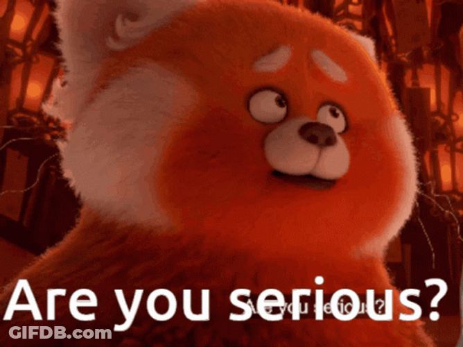 Are You Serious Cute Red Panda GIF
