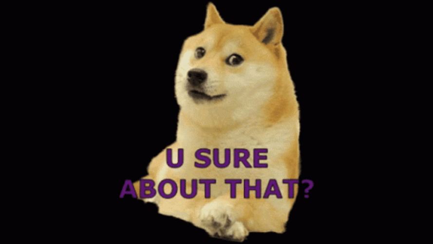 Are You Sure About That Curious Dog Meme GIF