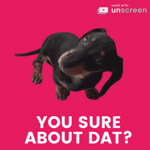 Are You Sure About That Cute Weiner Meme GIF