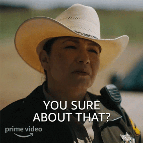 Are You Sure About That Deputy Joy Meme GIF