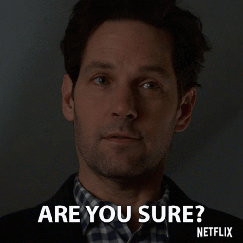 Are You Sure About That Paul Rudd Meme GIF