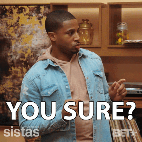 Are You Sure About That Sistas Meme GIF