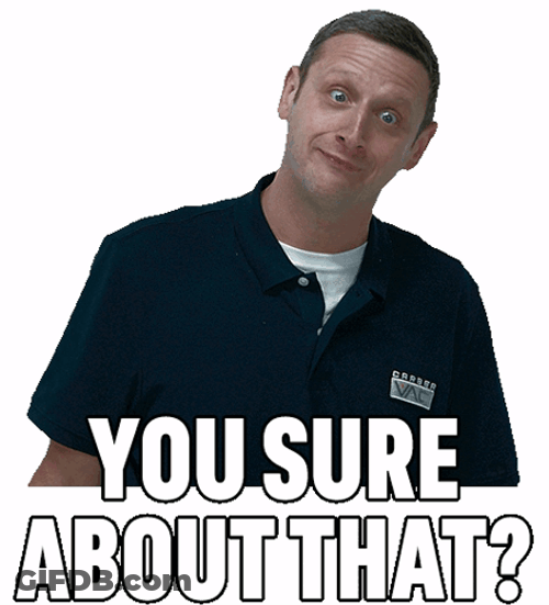 Are You Sure About THat Tim Robinson GIF