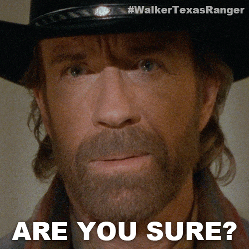 Are You Sure Chuck Norris GIF