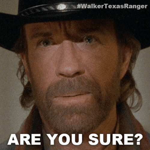 Are You Sure Chuck Norris GIF