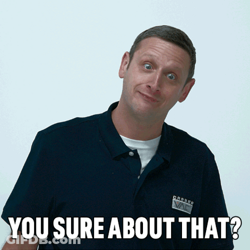 Are You Sure Comedian Tim Robinson GIF