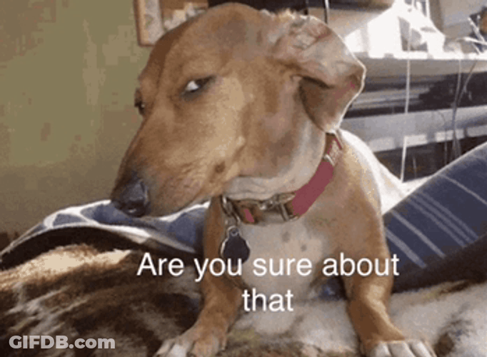 Are You Sure Grumpy Pup Side Eye GIF