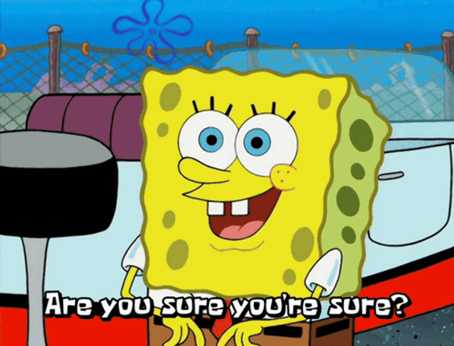Are You Sure Spongebob Squarepants GIF