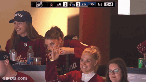 Ari And NSN Playing Hockey GIF