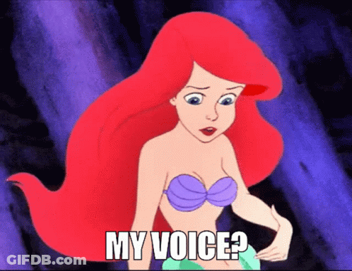 Ariel From The Little Mermaid Saying My Voice GIF