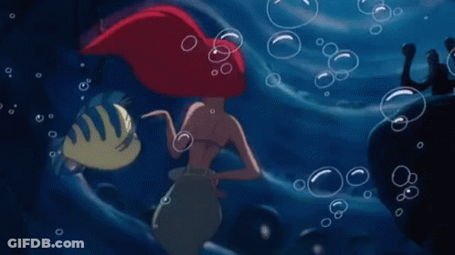 Ariel Holding Fish GIF