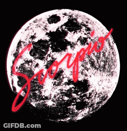 Aries Word On Black Background With White Flowers GIF
