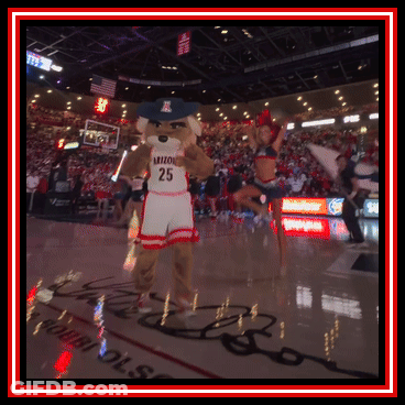 Arizona Basketball Mascot In Number 25 Jersey GIF